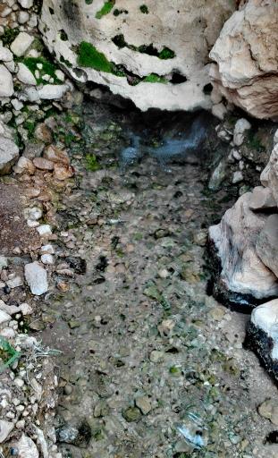 عکس شیرزاد آباد
