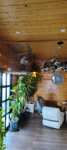 عکس رستوران گشر