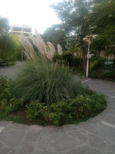 عکس پارک خطی نسترن (خجسته)