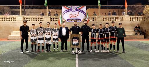 عکس چمن مصنوعی شاه ابوالقاسم