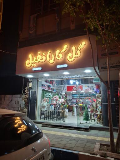 عکس گل کارانفیل