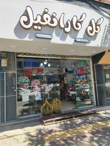 عکس گل کارانفیل