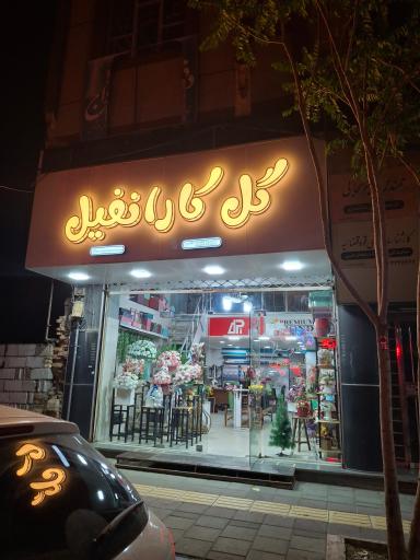 عکس گل کارانفیل