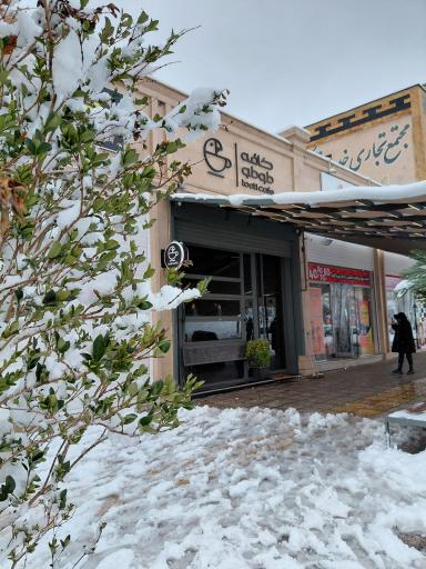 عکس کافه طوطی