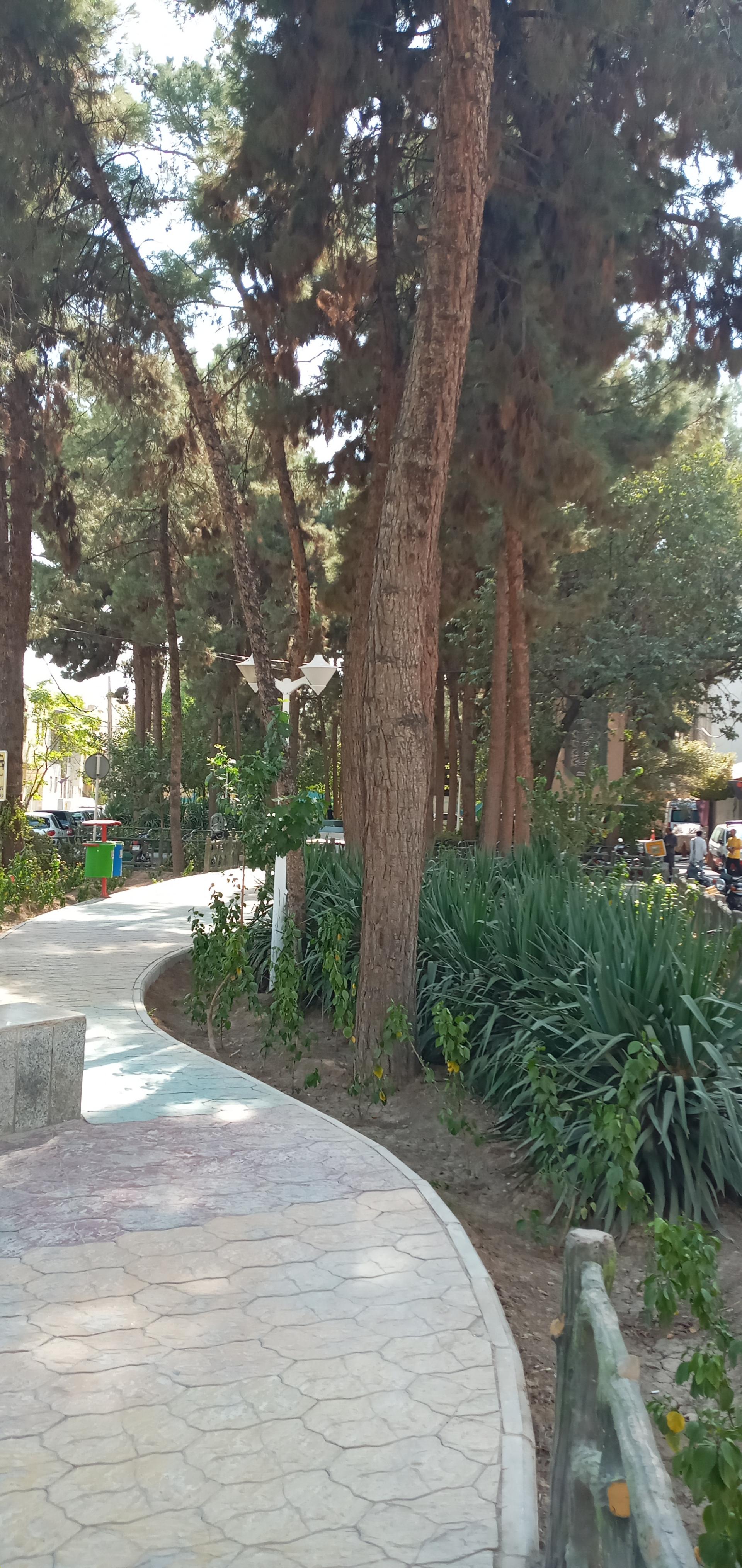 عکس بوستان نیلوفر