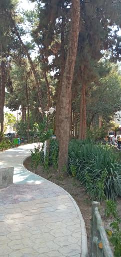 عکس بوستان نیلوفر