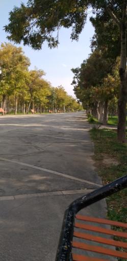 عکس پارک شهدای گمنام