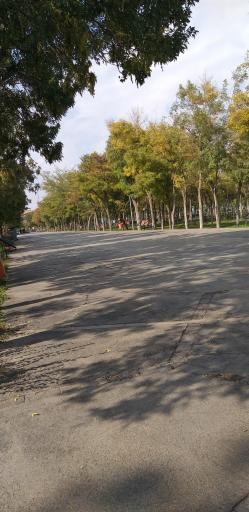 عکس پارک شهدای گمنام