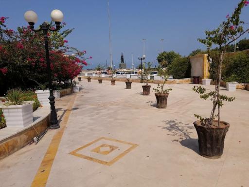 عکس شهرداری بندر بوشهر