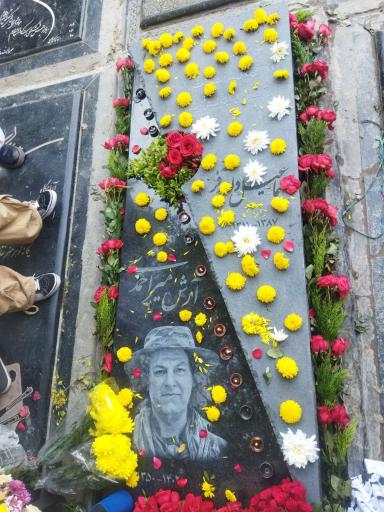 عکس مزار آرش میر احمدی