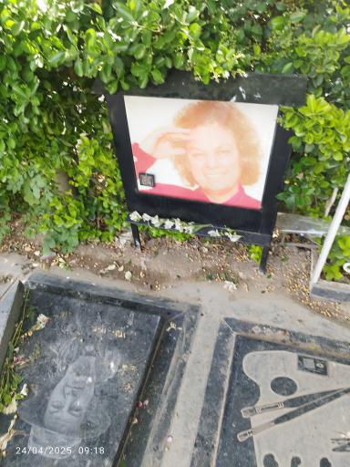 عکس مزار آرش میر احمدی