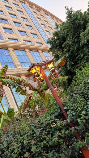 عکس هتل ویدا کیش