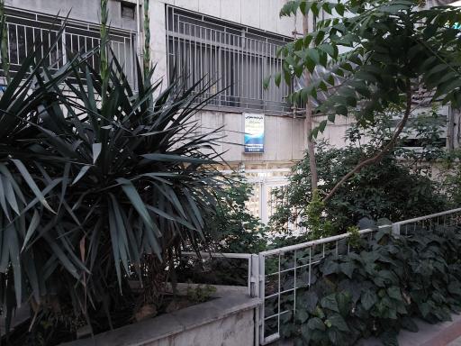 عکس مطب دکتر خدیجه محلوجی 