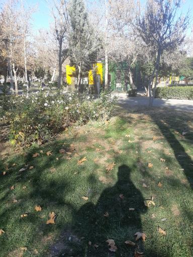 عکس سرویس بهداشتی