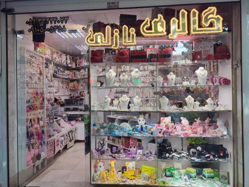 عکس بدلیجات، اکسسوری و کادوئی نازلی