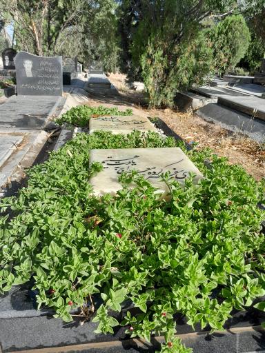 عکس مزار حمیدرضا جلیلوند همتی