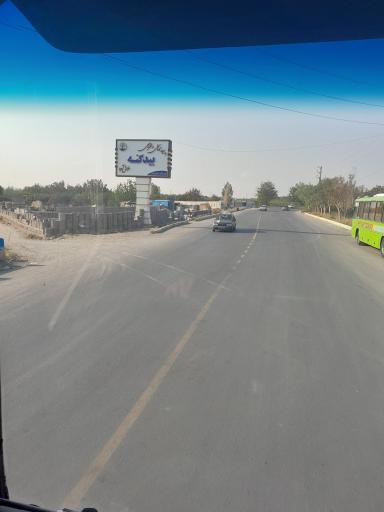 عکس بیدگنه