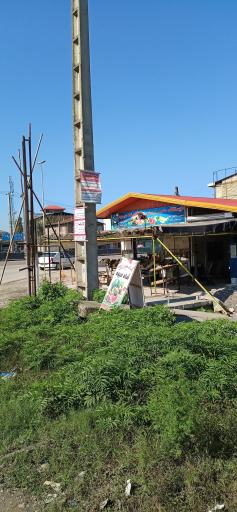 عکس میوه فروشی ایستگاه حاجی ارزونی