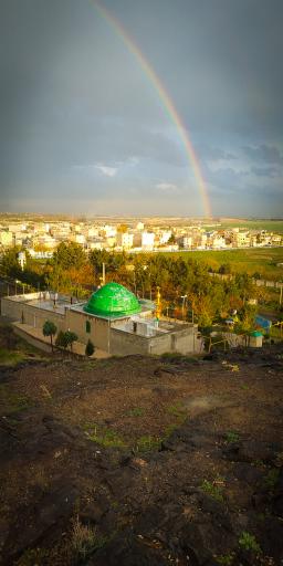 عکس بیدگنه