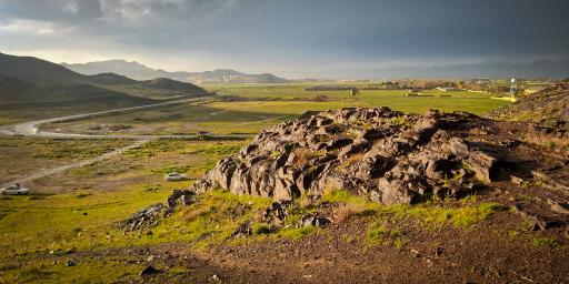 عکس بیدگنه