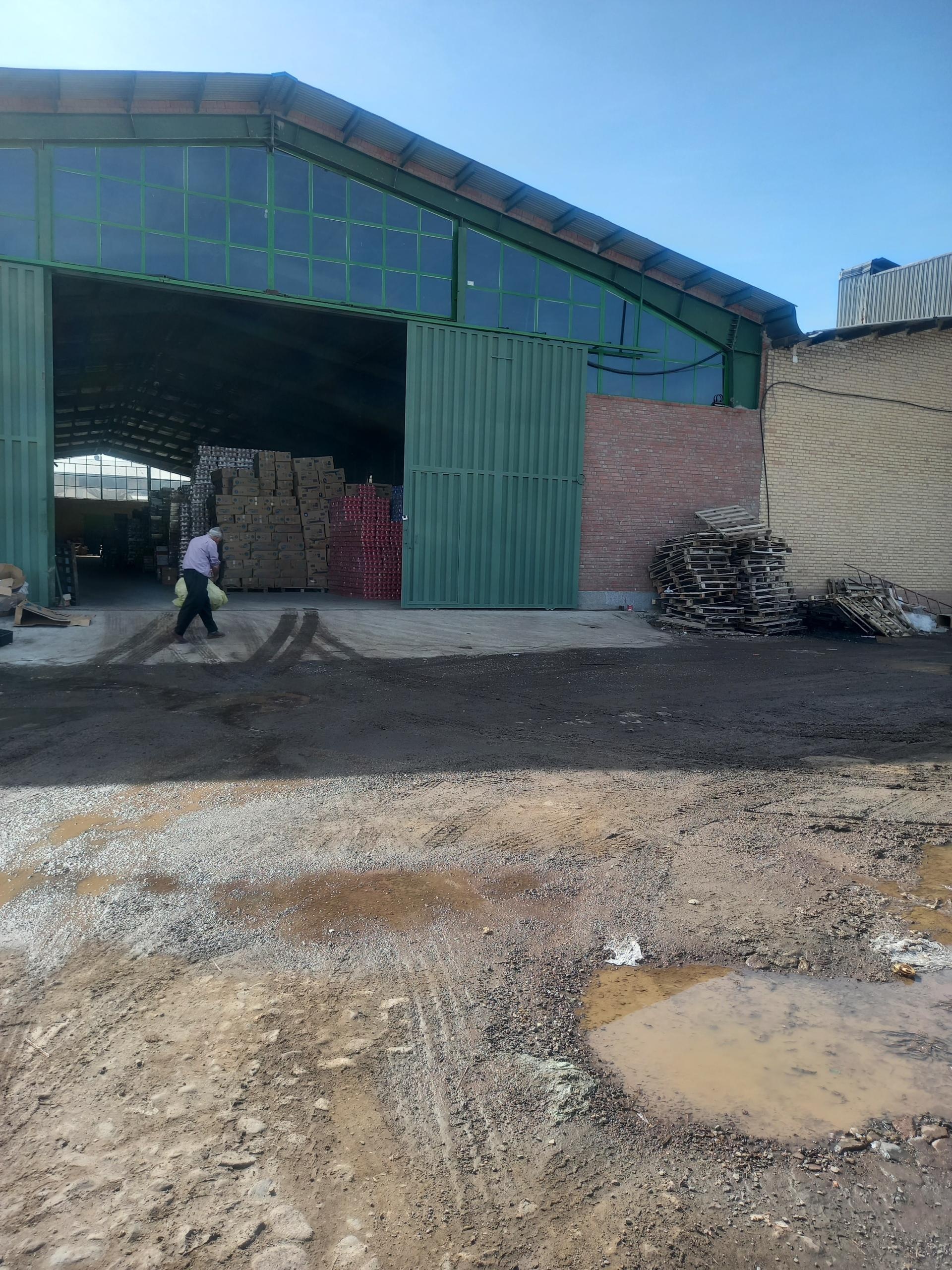 عکس پارسا پخش کبیرپویان