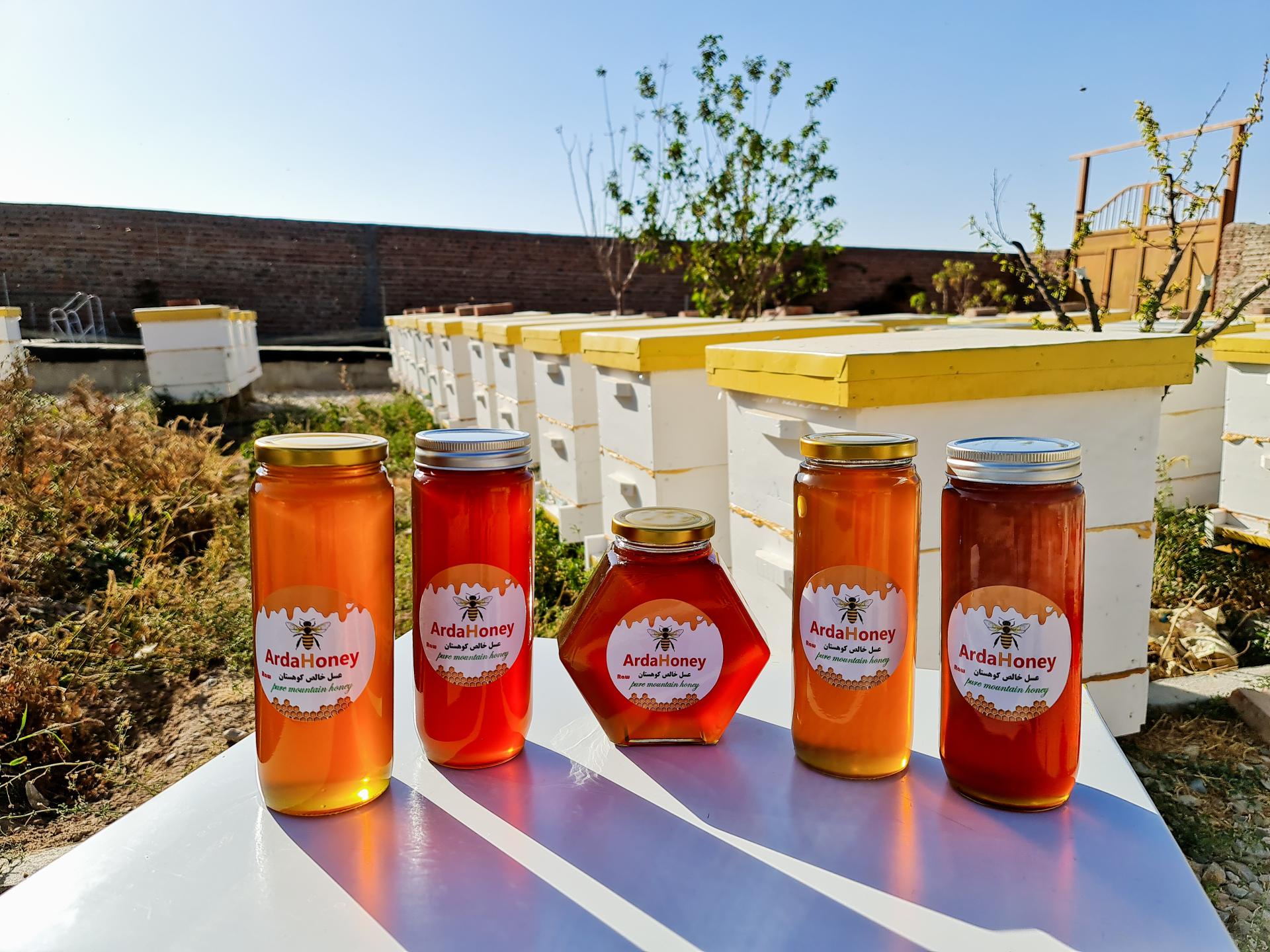 عکس عسل آردا