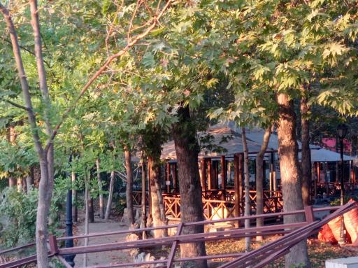 عکس دهکده شاندیز