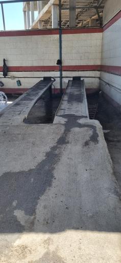 عکس کارواش ۱۰۰۱