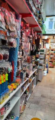 عکس شوینده بهداشتی بهار