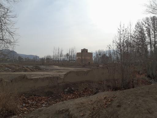 عکس برج کبوتر بجگرد