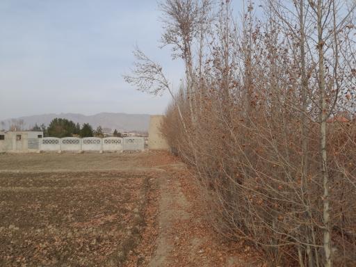 عکس برج کبوتر بجگرد