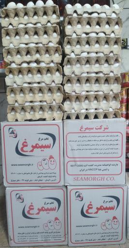 عکس فروشگاه میلاد