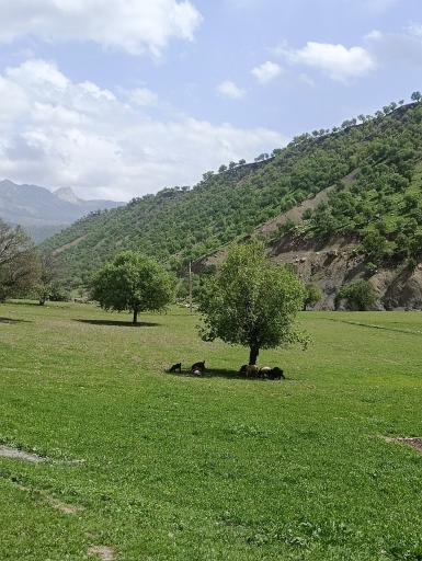 عکس دربند