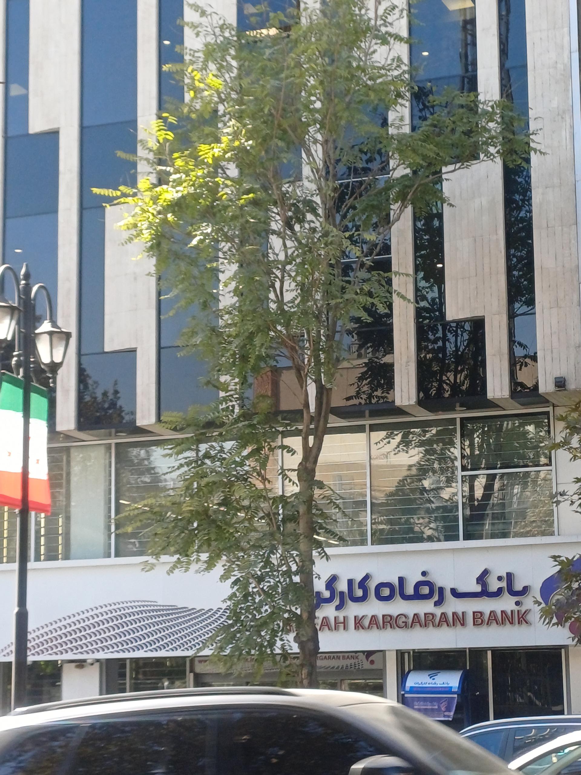 عکس بانک رفاه کارگران