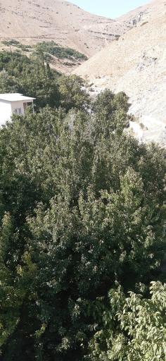 عکس دره وردیج