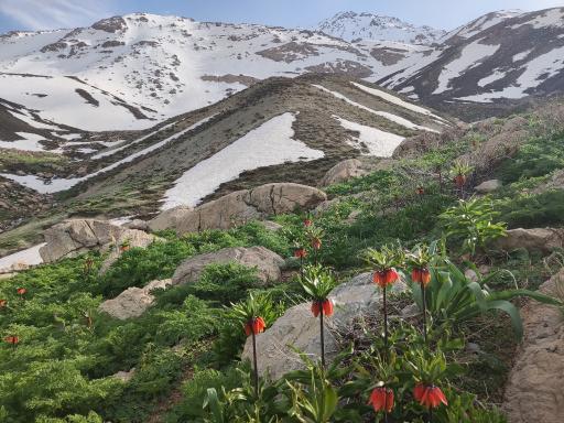 عکس دربند