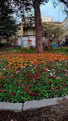 عکس شهرداری همدان