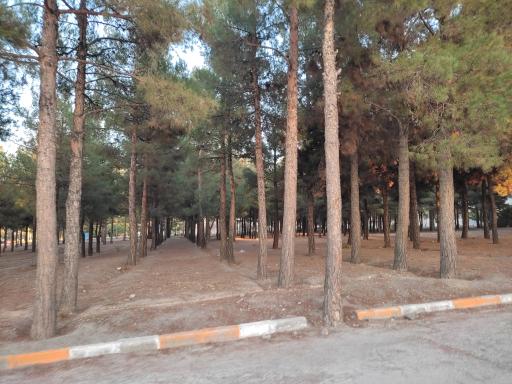 عکس بوستان ۱۳ آبان