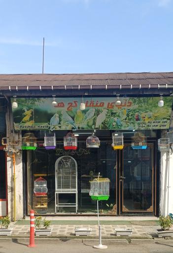 عکس پرنده فروشی دنیای منقار کج ها