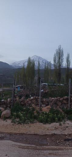 عکس کافه لبنیات بام ایران 
