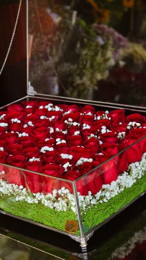 عکس گلسرای شقایق