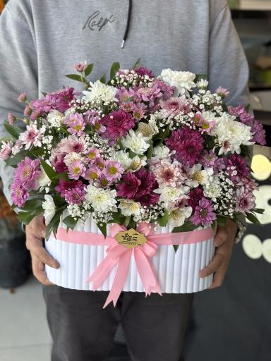 عکس گلسرای شقایق
