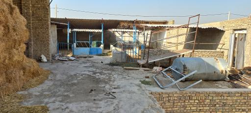 عکس دامداری مرشدی