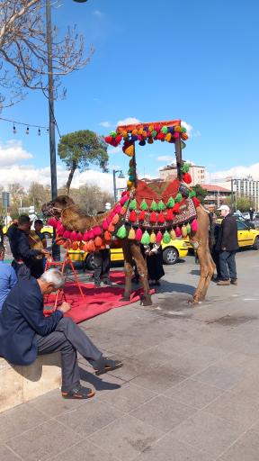 عکس بازار مولوی