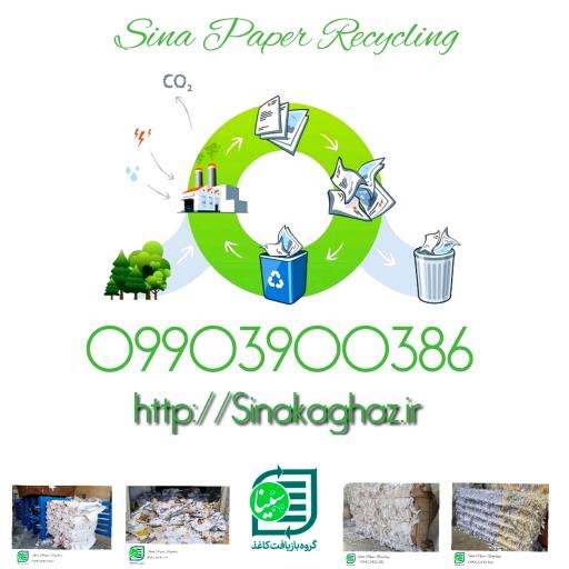 عکس گروه بازیافت کاغذ سینا / انبار کاغذ سینا / بازیافت کاغذ یاقوت سبز سینا