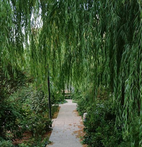 عکس برج مسکونی تاج