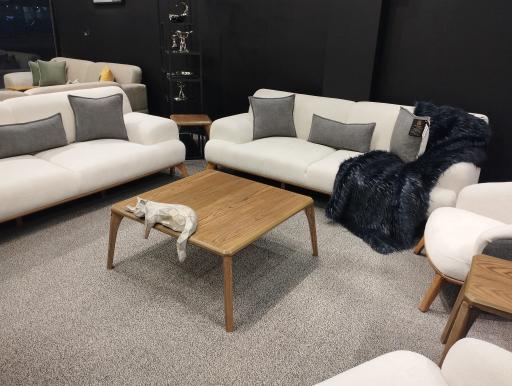 عکس مبلمان تیکامون 