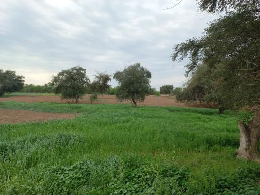 عکس صالح شهر