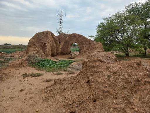 عکس صالح شهر