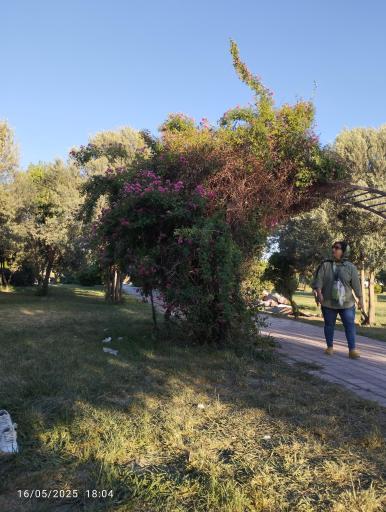 عکس بوستان طبیعت